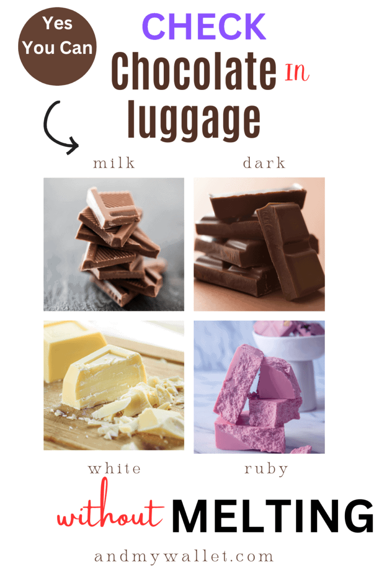 Can Laptops Go In Checked Luggage? Travel more