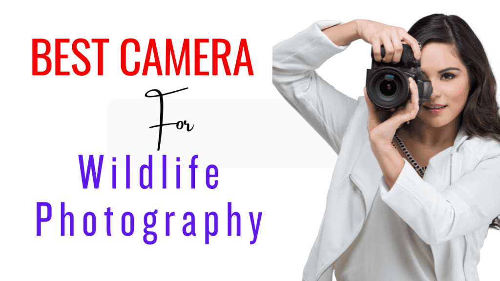 Best camera for wildlife photography