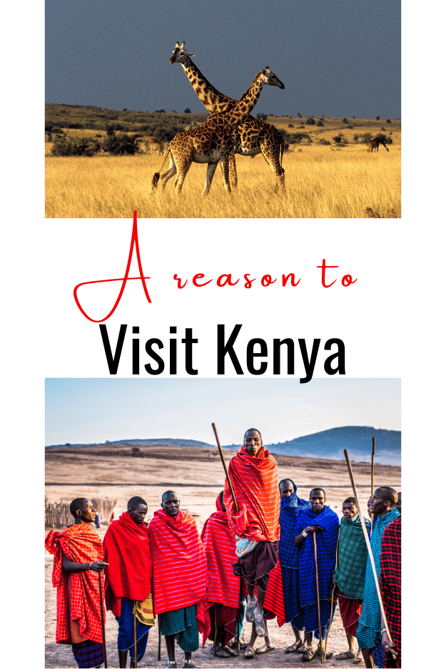 kenya wildlife and Maasai people dancing
